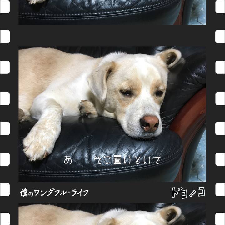 Ffb09247 7648 4039 906e aa0827159d11