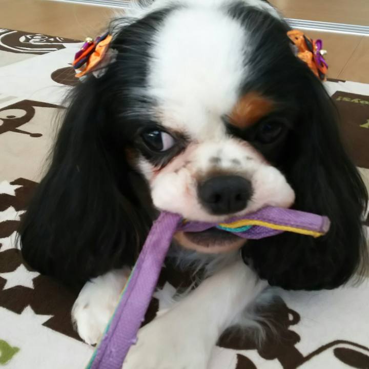 Ffb0dd69 cbde 4e32 9ec8 205de2a55522