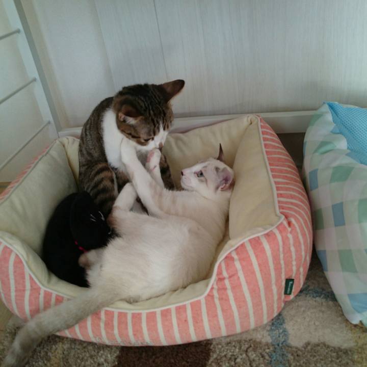 Ffb24f59 6037 40ce 8682 7fb5f45aedee