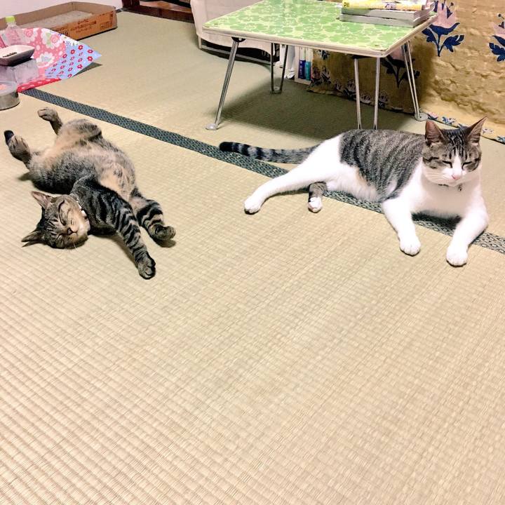 Ffb29db2 54cd 4a3e 8ddf 6b40df6715dd