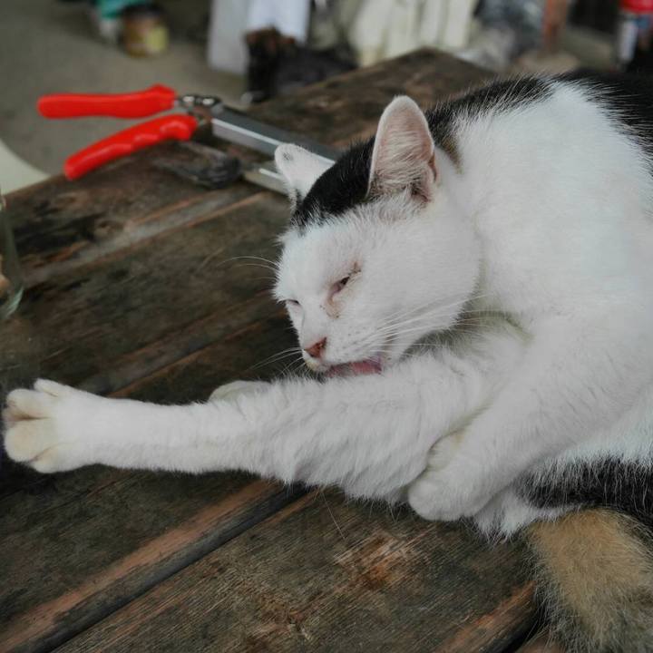 Ffb3d1fa f2f5 4521 ab9c bb6d68396932