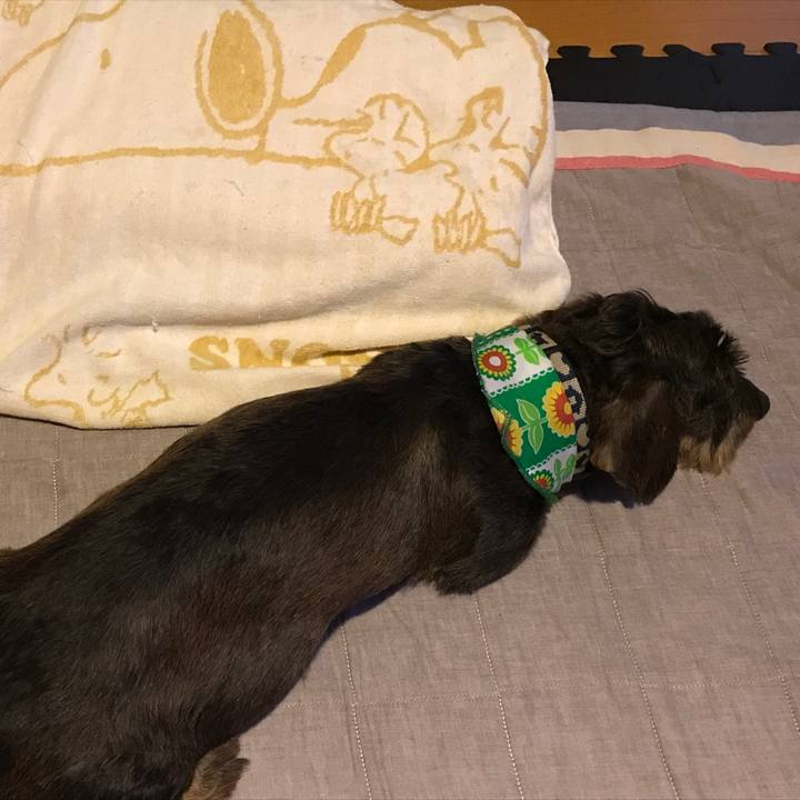 Ffb40251 5b41 4f38 ad83 ac31d490cd77