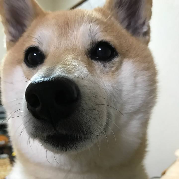 Ffb40818 be04 4cc1 ab90 80d8ab9cb2d2