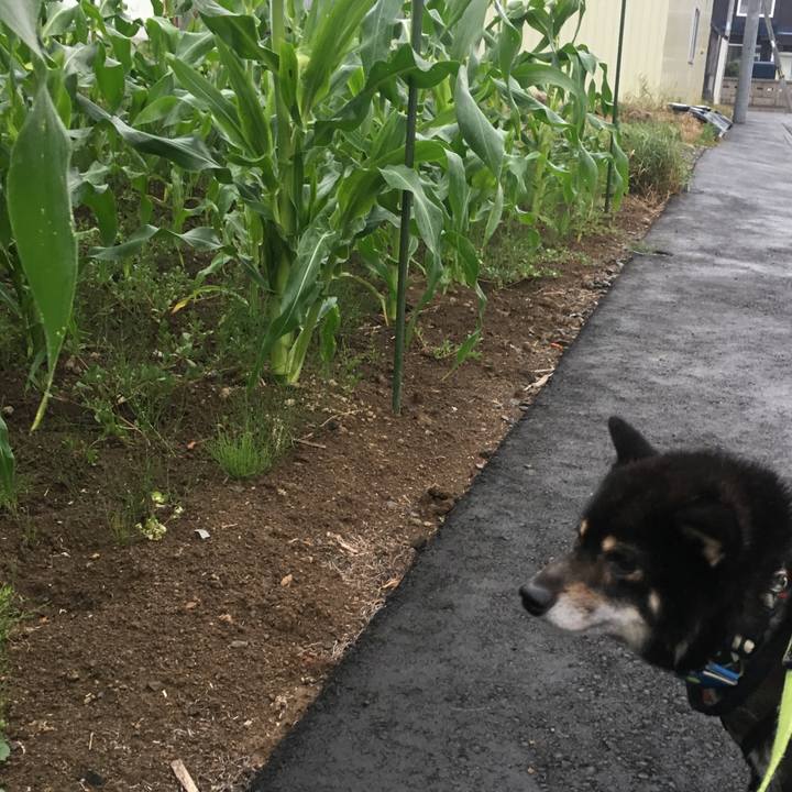 Ffb4b286 ce0b 48e5 880e 88d0347cdd09