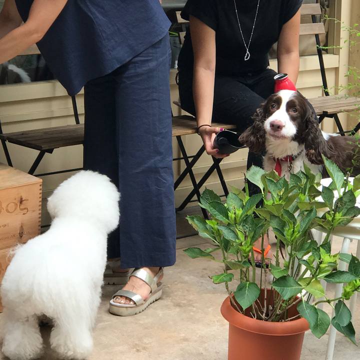 Ffb4fde2 525e 4745 8324 9e8f98f1bafa