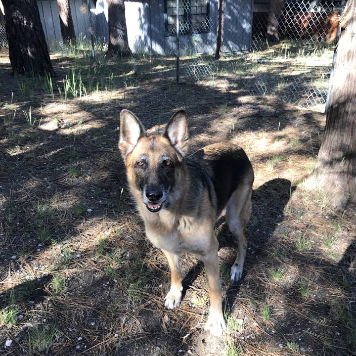 Ffb71923 b56a 4a49 8c22 fdadb56e51a0