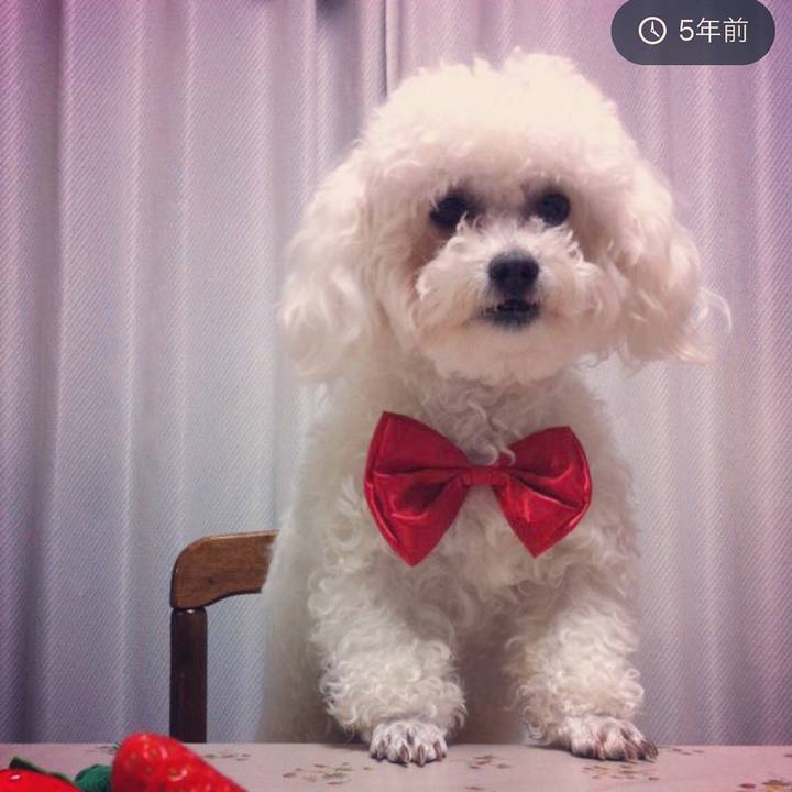 Ffb8f925 e7a2 4c5f a2e2 cfbbb41d5719