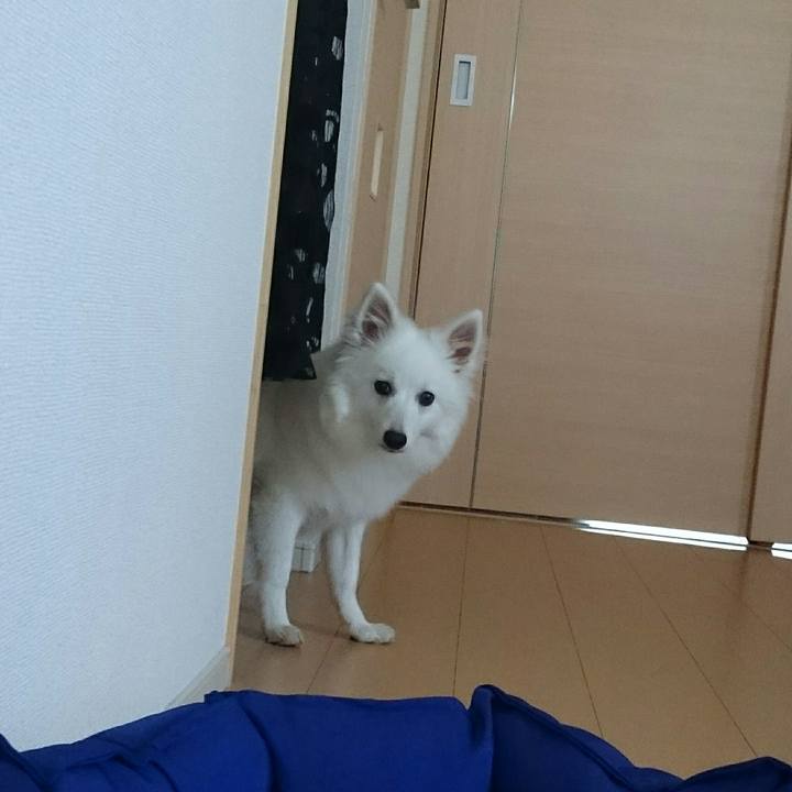 Ffb96e0b 1a71 47d5 8aa2 845c08bc08f4