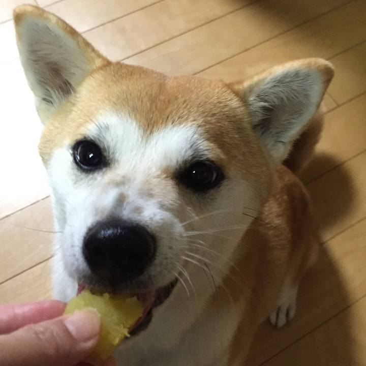 Ffba14b4 7624 481f 9a8f 38d09a9655c7