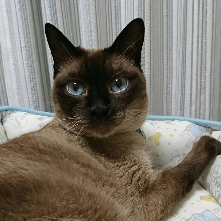 Ffba2ade 2733 4fd0 b01b 39df70ebea50