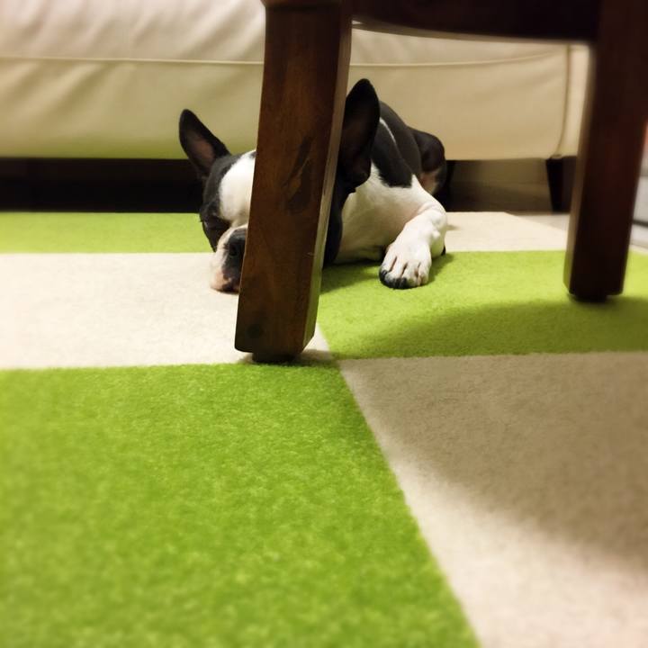 Ffba3b1b 7450 4f53 9499 36253447961e