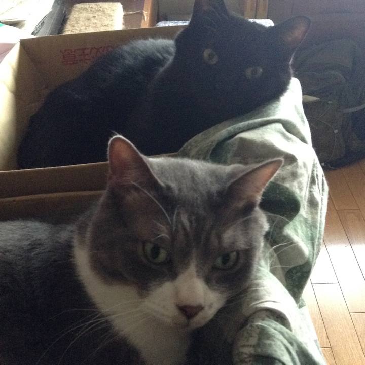 Ffba57be 4098 41e8 809c dec1ae99b2c5