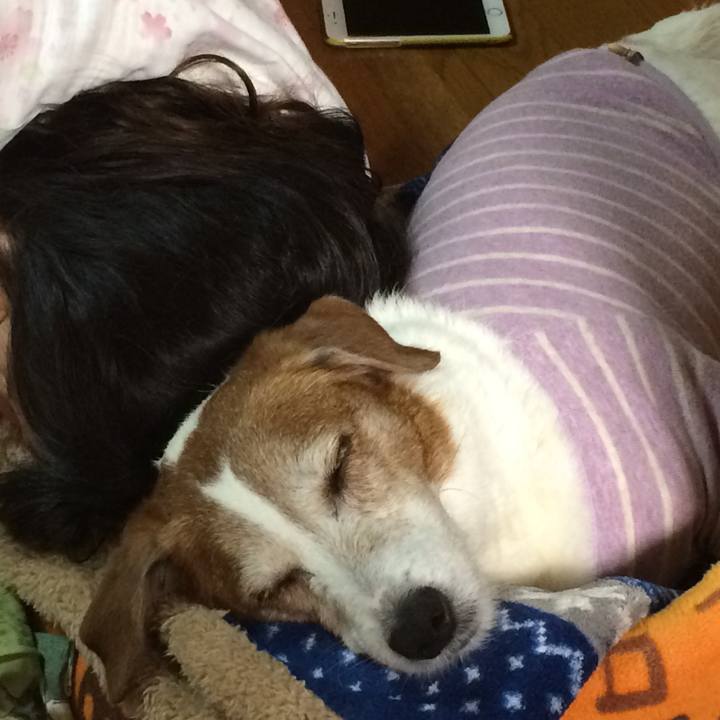 Ffba93d0 5b10 4e2f a5a2 c0b410ae1162