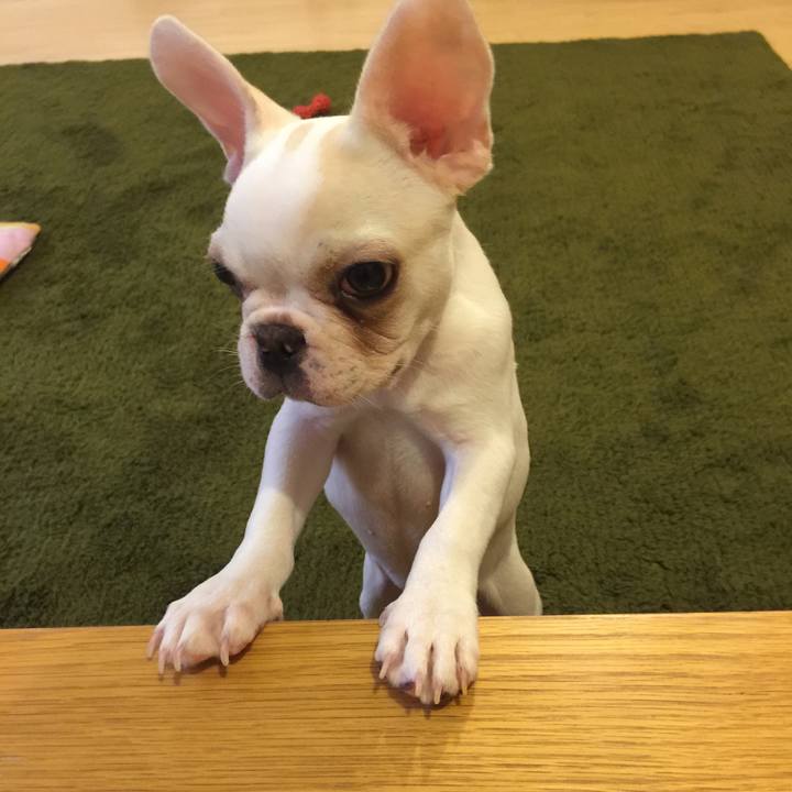 Ffbaeb51 6f2d 446e 9b64 e5814cb2f89f