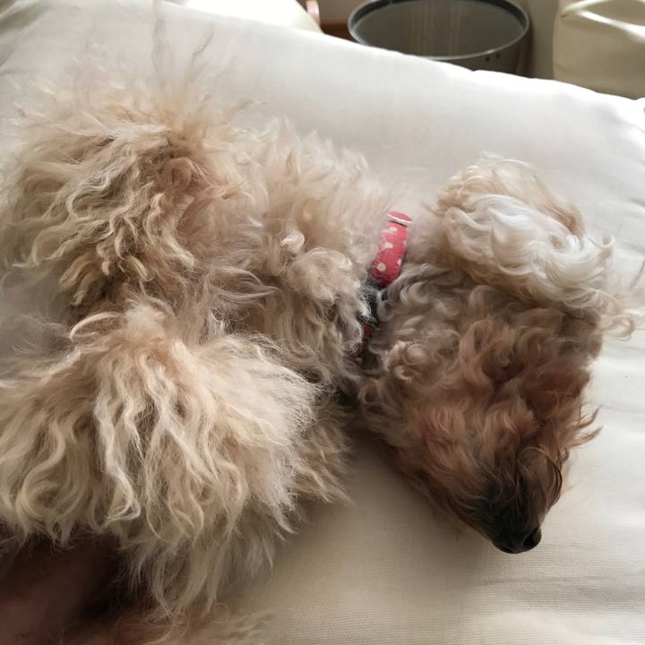 Ffbb15d3 4a76 452a 8ca0 03cbf4b338f0