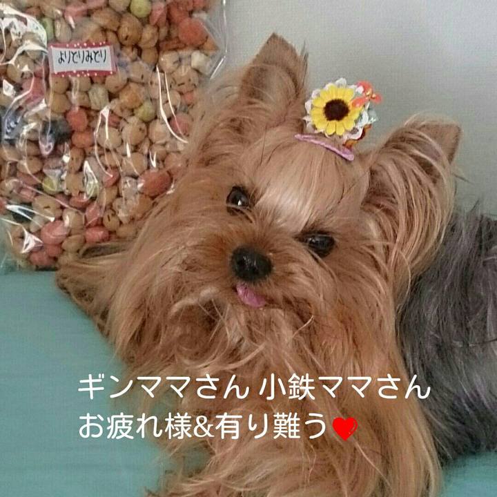 Ffbb69b4 7de1 44b2 af4a f6b917d7645d