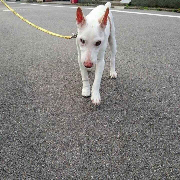 Ffbb9840 95e0 498d b7bb be4193102046