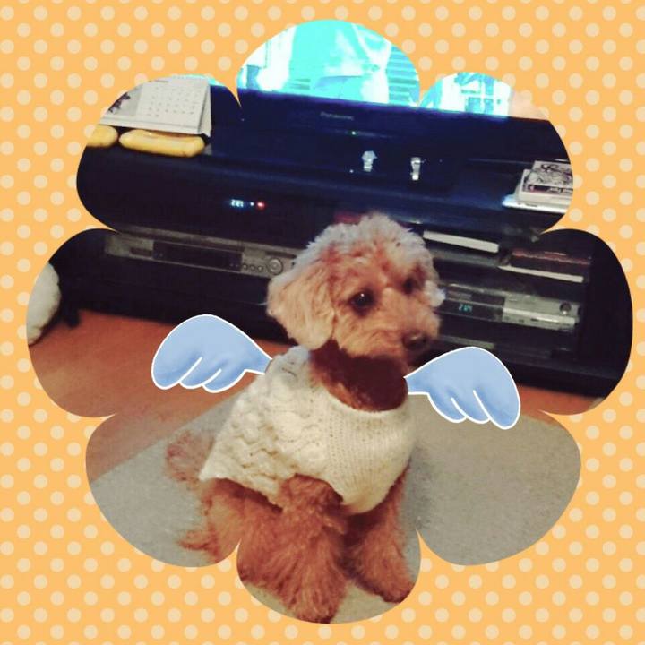 Ffbbe728 0a67 476e a25e dff37834ecdc