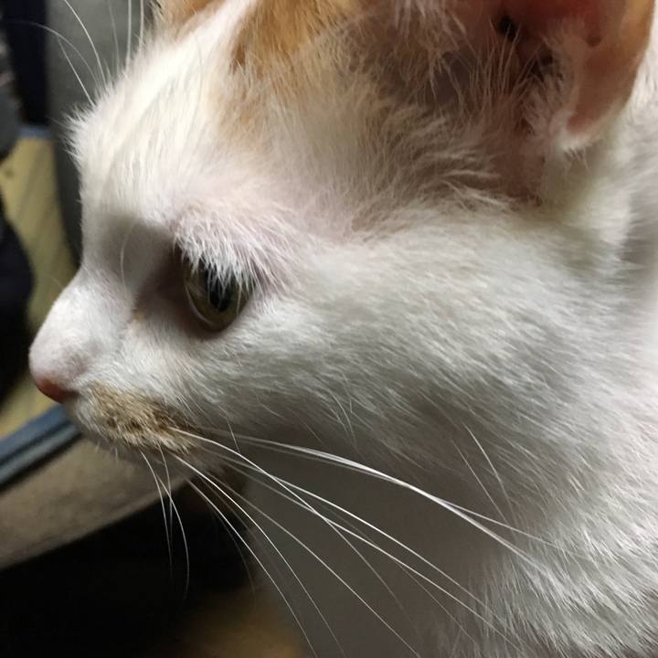 Ffbd25b3 eb80 449d 9c33 09cc066b0604