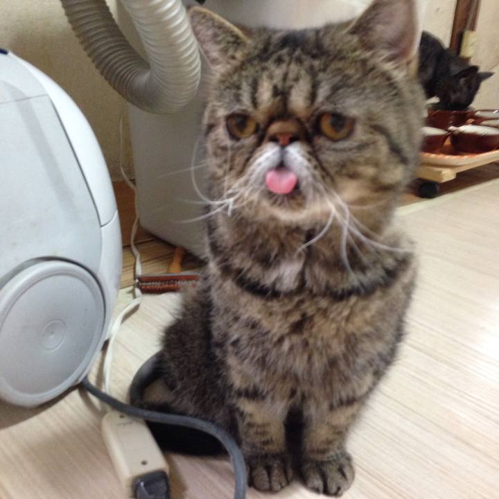 Ffbd5136 57a1 433f 8e4b 8c882bd59166