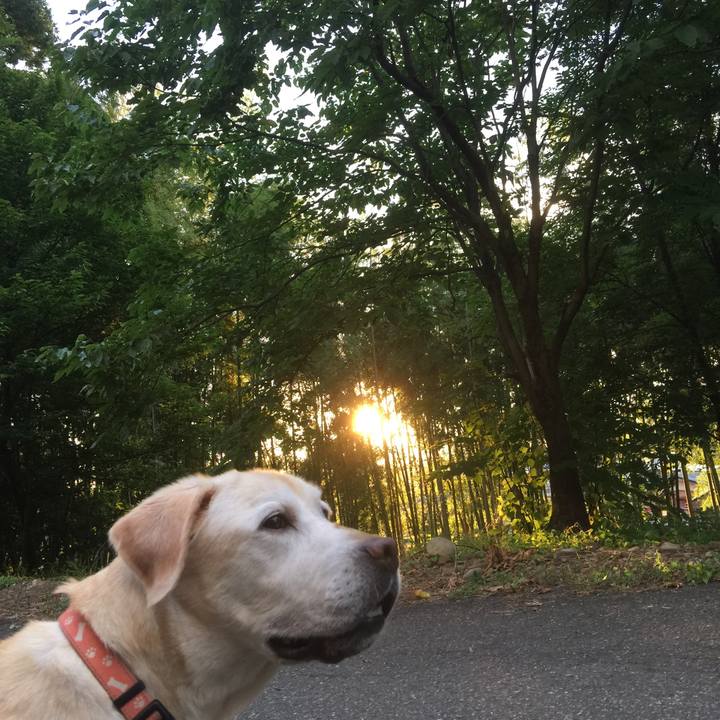 Ffbd7a41 3aa3 4d4e 9dc6 83b0e56b1a34