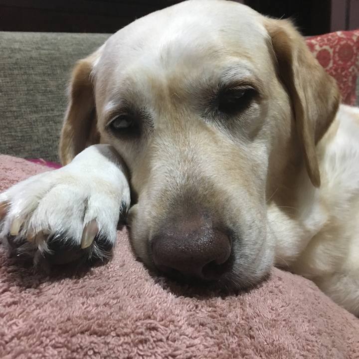 Ffbdcd2a 7e0d 4582 993d 767f977e95e7