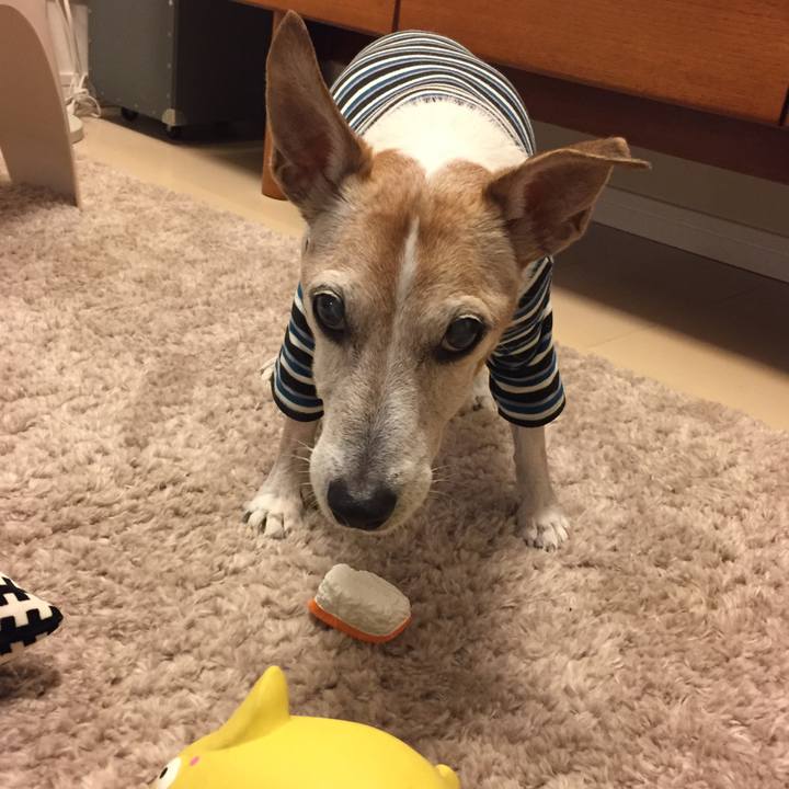 Ffbdff3a 9336 412c aa02 8bdd66c6a279