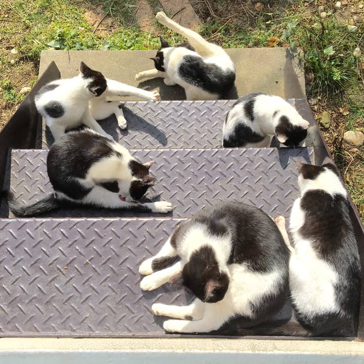 Ffbe8fba ac97 4d3d 8cc7 da5990dd7024