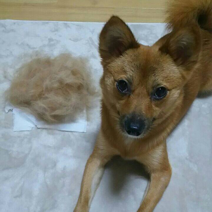 Ffbefa43 d299 4f60 adcc d3d465f5e298