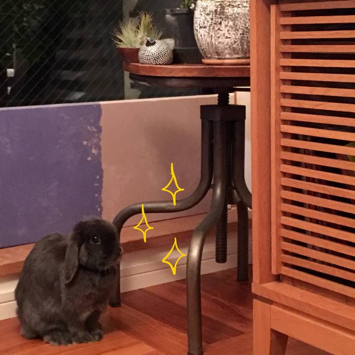 Ffbfa036 7964 4127 acf2 9818e60ce8cc