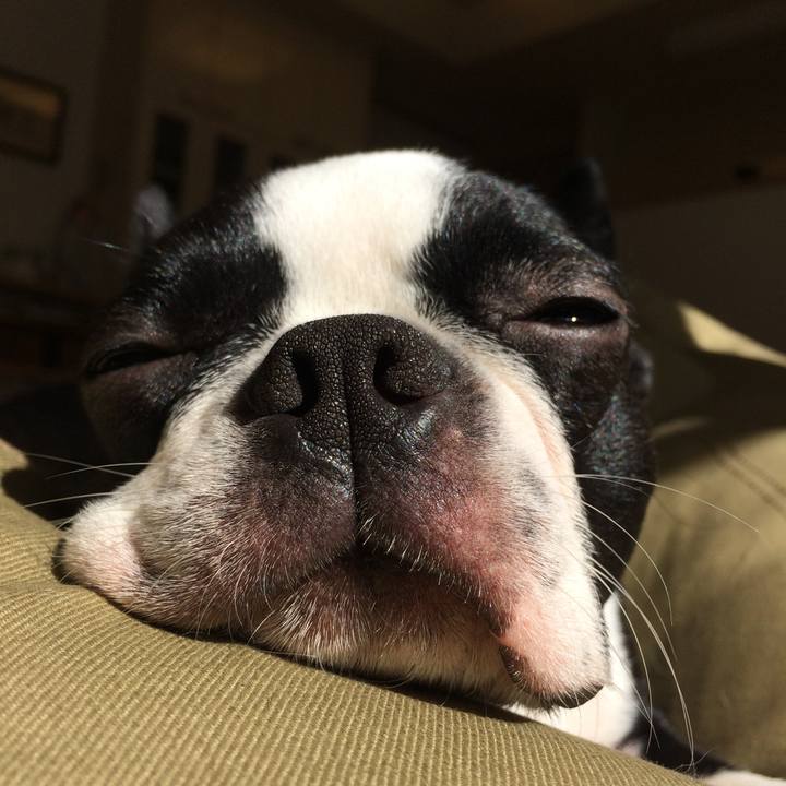 Ffbff29e 77c9 4414 9a6a 5201dba2d0dd