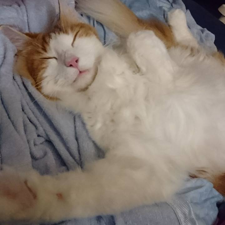 Ffc0ebe1 10d1 4a82 b63f 2559f51d6518