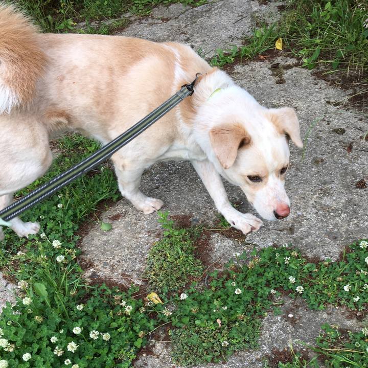 Ffc10955 373b 4054 803c 7937fde865f7