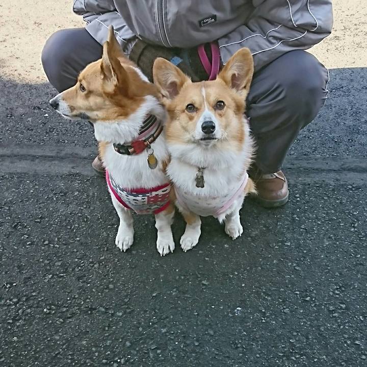 Ffc1308a dcc6 4ad9 b884 e4b686c81b60