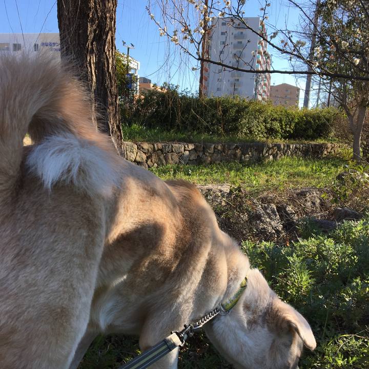 Ffc141c4 3cd9 4d7d 9487 50db6b11ee61