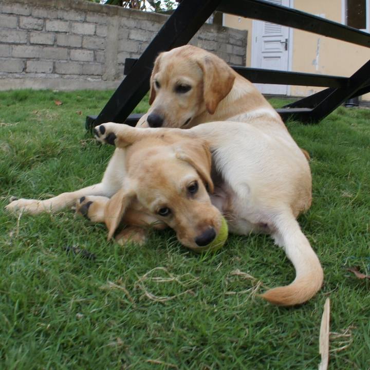 Ffc22212 5930 4913 960f 5308ba11c4f3