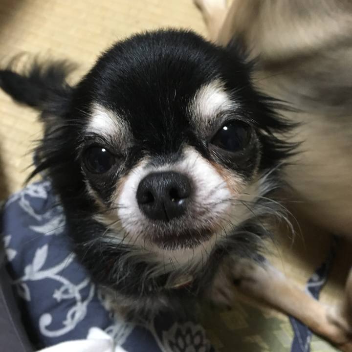 Ffc24807 1f99 4b7a 8314 068279f33f58