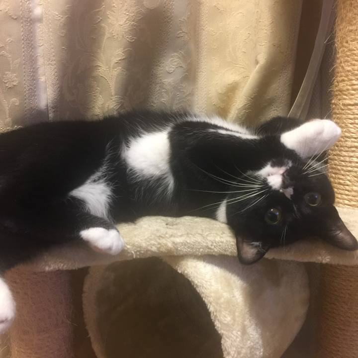 Ffc2a9f3 018d 4e0d 85c5 cf6b0bafd46e