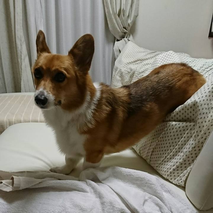 Ffc3037b f8f3 4283 9727 a48063ab7b82