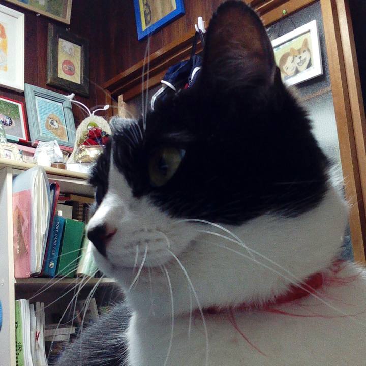 Ffc37026 dd35 4c56 9d28 03c06248cef2