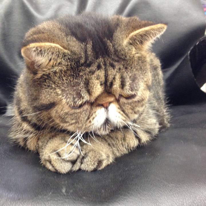 Ffc376a7 ce6b 4c9f a2d6 4ea85fda4dfd