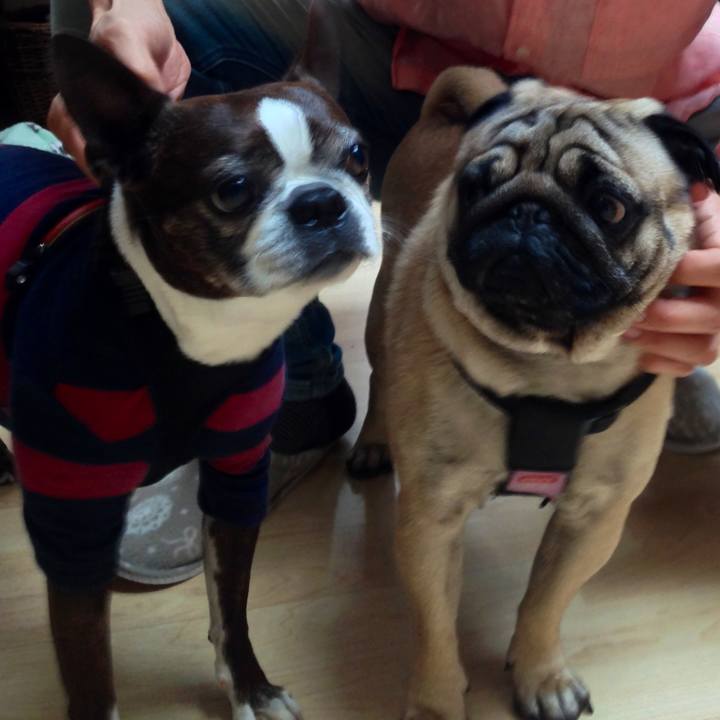 Ffc3e3d2 4bee 43f3 bbca 3f81e5735609