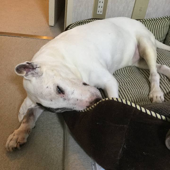 Ffc41d96 0055 4347 ba49 07cd2bf9062b