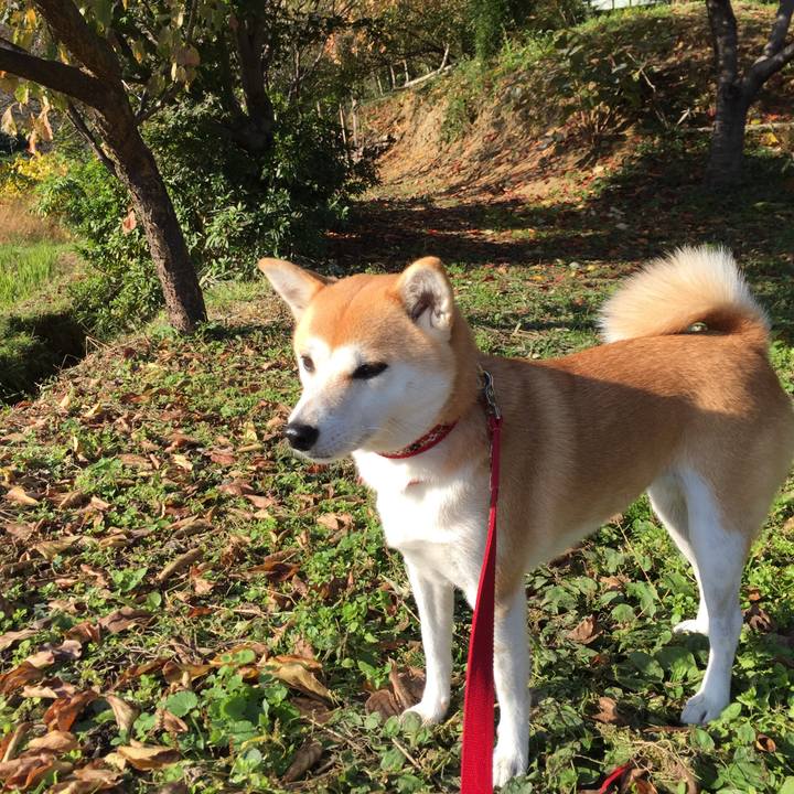 Ffc4544e 87f3 4bf3 8526 8182de1e336d