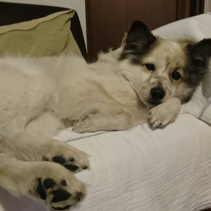 Ffc467e4 7f93 490e ac60 2c4c07707082