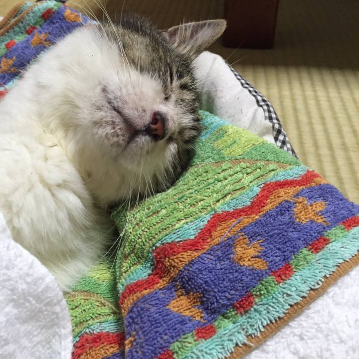 Ffc5018f d0fc 48ff 8115 155529c9bd4b