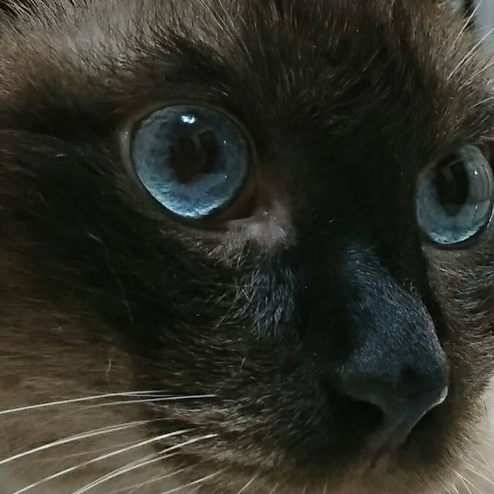 Ffc5fc85 7e32 43a9 b540 3a418d203e8e