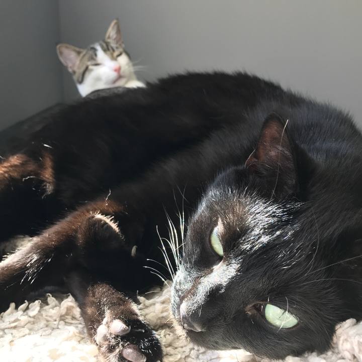 Ffc61130 3058 4905 96a1 bd2ddc61c265