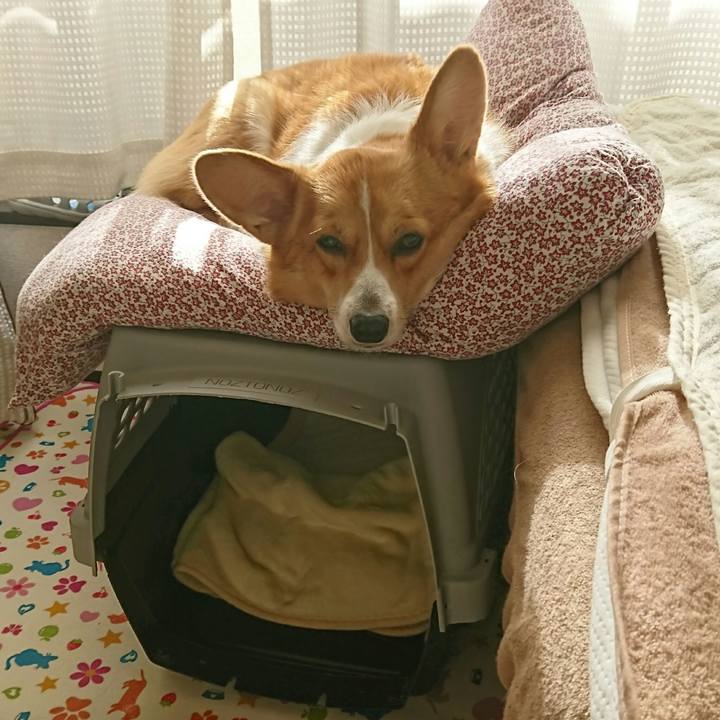 Ffc69d33 4a85 4003 9924 29451bd98789