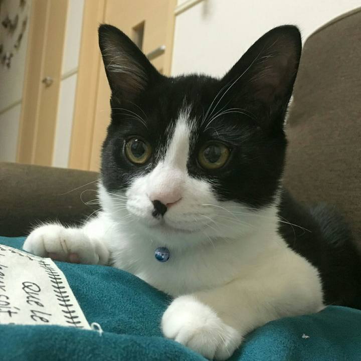 Ffc6e577 d185 421a ba8c e4c5b56d6f30